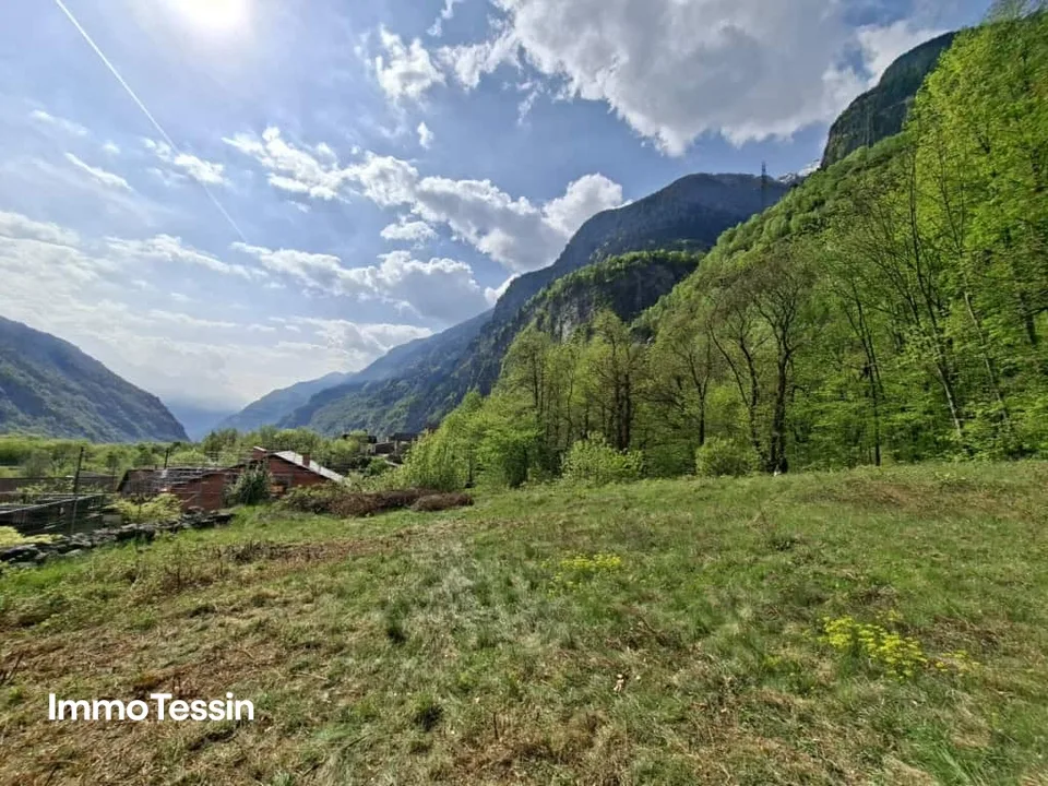 Grosszügiges Bauland mitten in der Natur mit Waldparzelle an sonniger, naturnaher Lage 10 Autominuten von Biasca entfernt – Foto 9 von 9