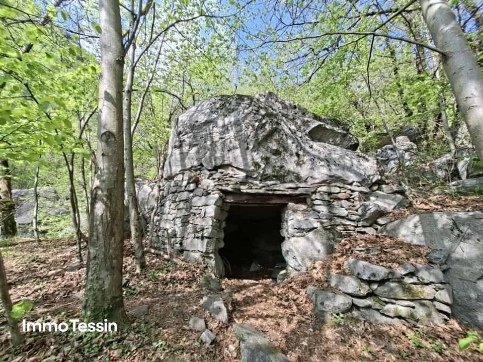 Grosszügiges Bauland mitten in der Natur mit Waldparzelle an sonniger, naturnaher Lage 10 Autominuten von Biasca entfernt – Foto 7 von 9