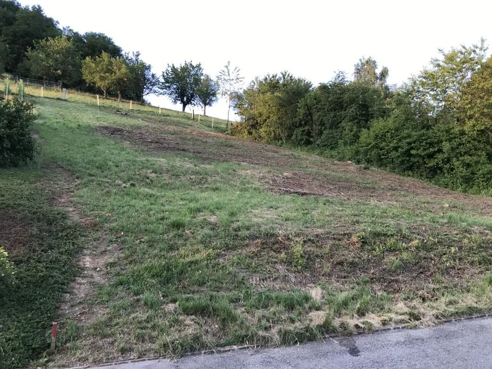 Terreno edificabile attraente in una posizione soleggiata a Rothenfluh (BL)