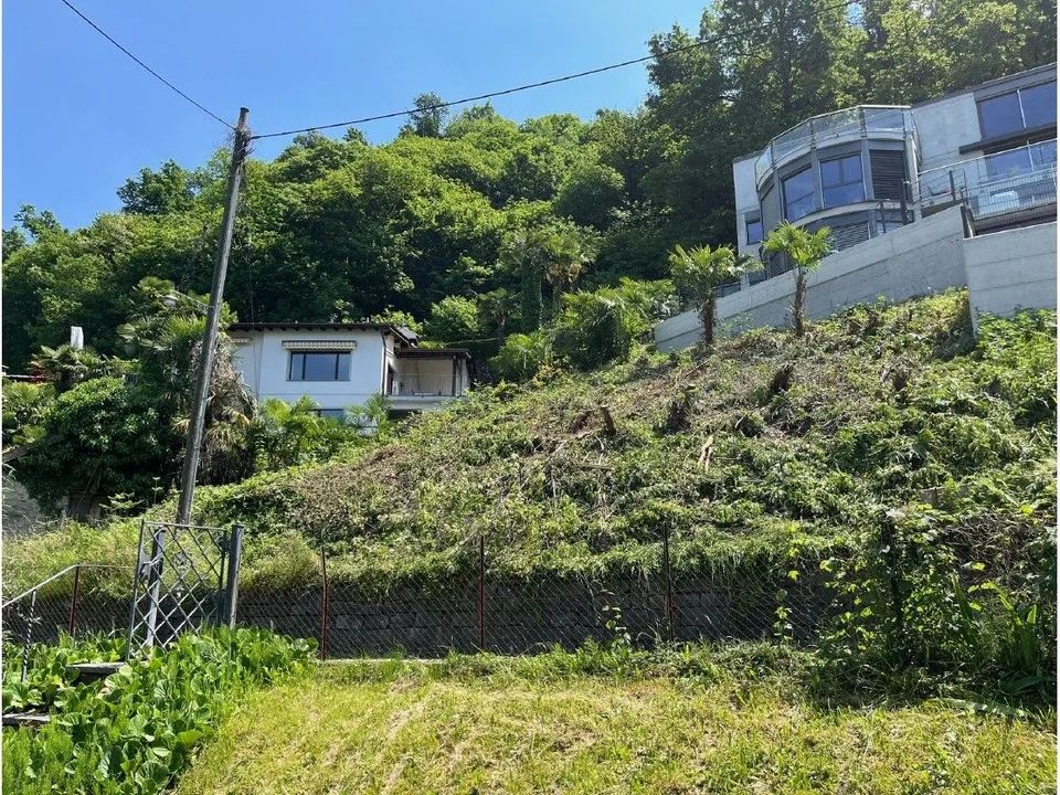 Baugrundstück mit Baugenehmigung in Gambarogno zu verkaufen - eine einzigartige Gelegenheit im Grünen des Tessins