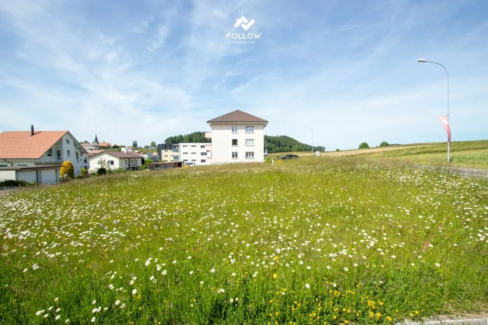 Multi-family house with development potential and additional building plot in Heitenried