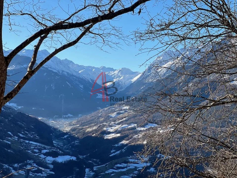 LE LEVRON Chalet 3 Etagen 6.5 Zimmer