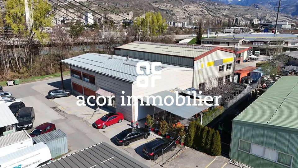 Industriehalle mit Gewerbeflächen in Sion!