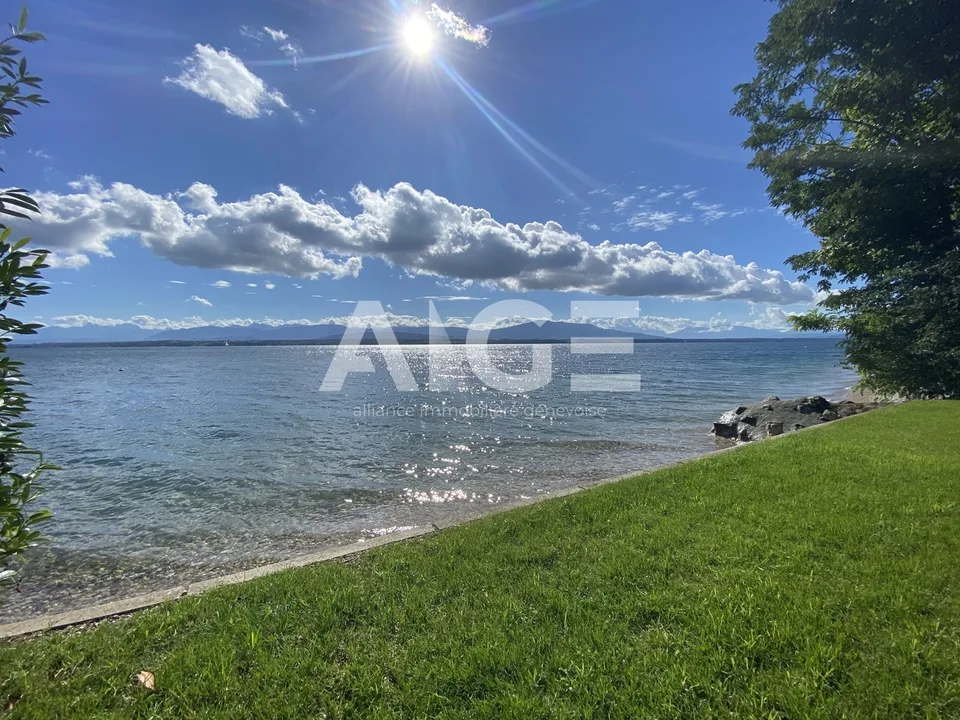 Superbe villa pied dans l'eau avec ponton privé d'amarrage