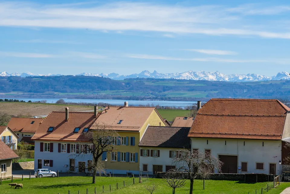Superbe maison de maître avec boxes à chevaux