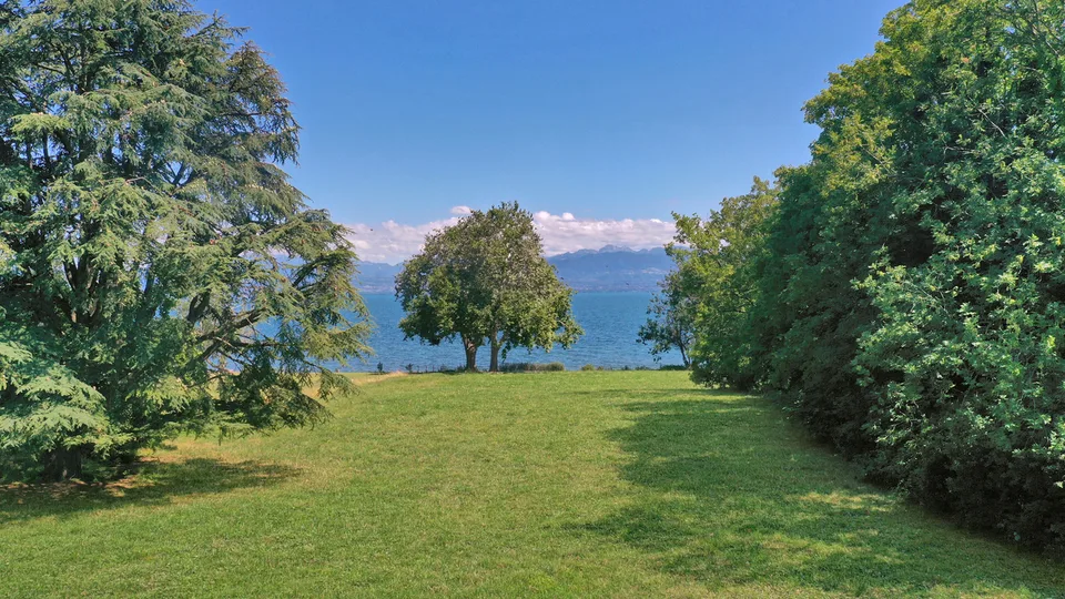 Superbe parcelle de 6 500 m2 pied dans l'eau, Rolle