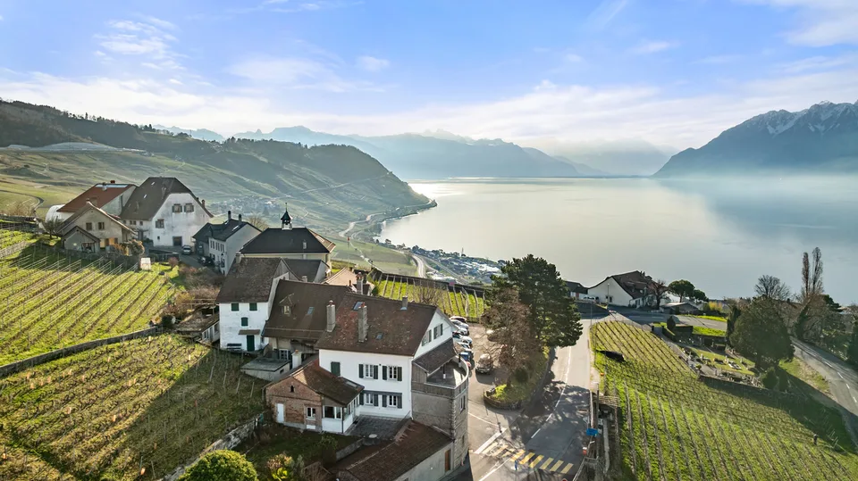 Bâtisse exceptionnelle avec 3 appartements et vue panoramique, Lavaux
