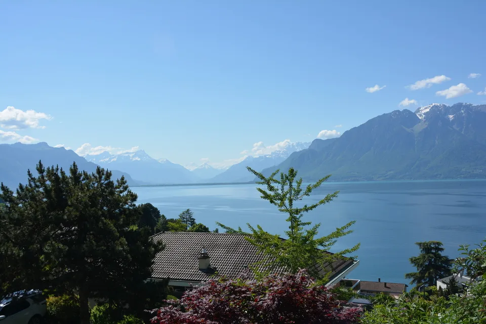 Vicino a Vevey, nuovo progetto di 3 ville di 5,5 locali - vista panoramica