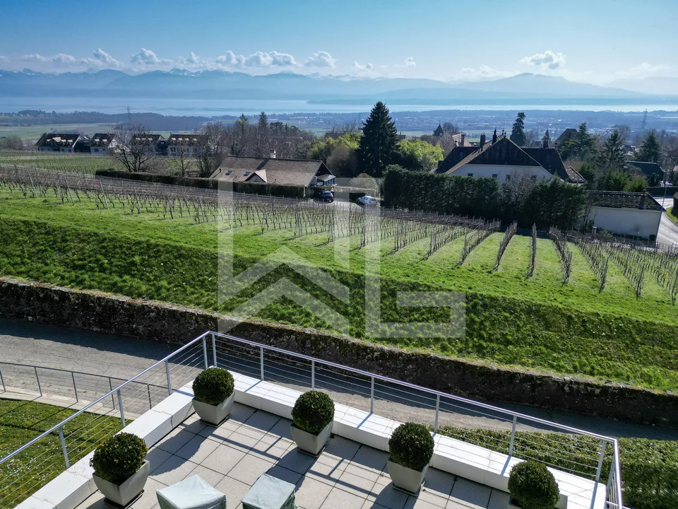 Villa contemporanea eccezionale con panorama spettacolare sul lago