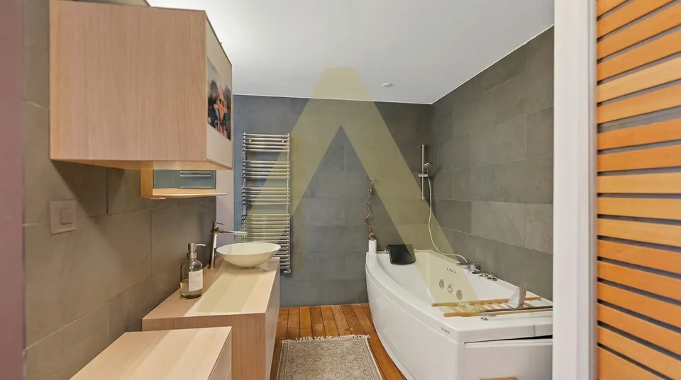 Spacieux et lumineux appartement en plein centre