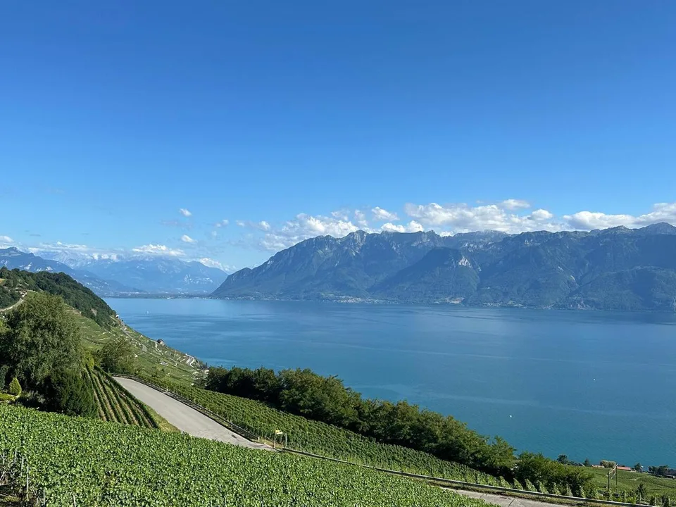 Exceptionnelle villa individuelle, vue plongeante sur le lac !
