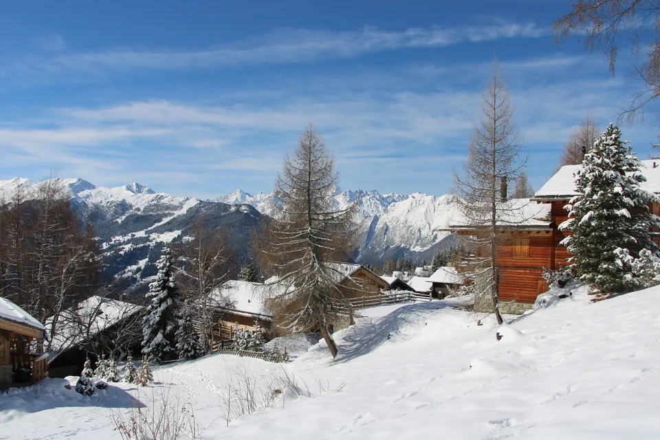 Terrain à bâtir
