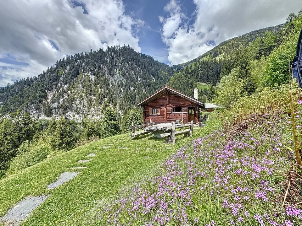 Sanctuaire alpin - autonomie, chaleur et évasion proche Verbier