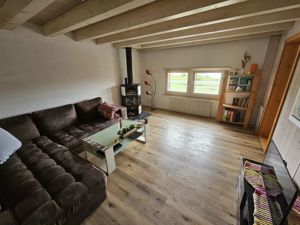 Triplex affascinante su 3 livelli con stufa a legna, terrazza e giardino – foto 7 di 13