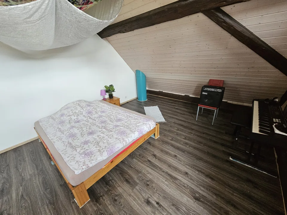 Triplex affascinante su 3 livelli con stufa a legna, terrazza e giardino – foto 6 di 13