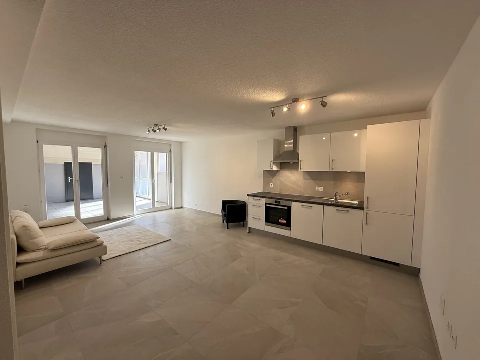 ppartement 3.5 pièces avec grande terrasse   70 m²