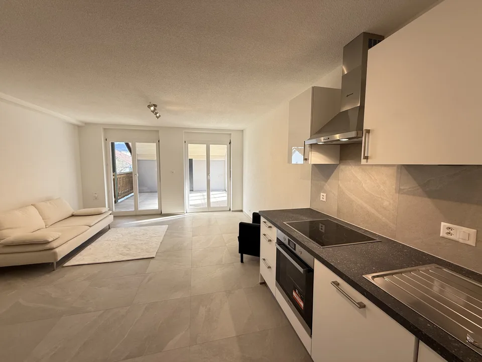 ppartement 3.5 pièces avec grande terrasse   70 m²