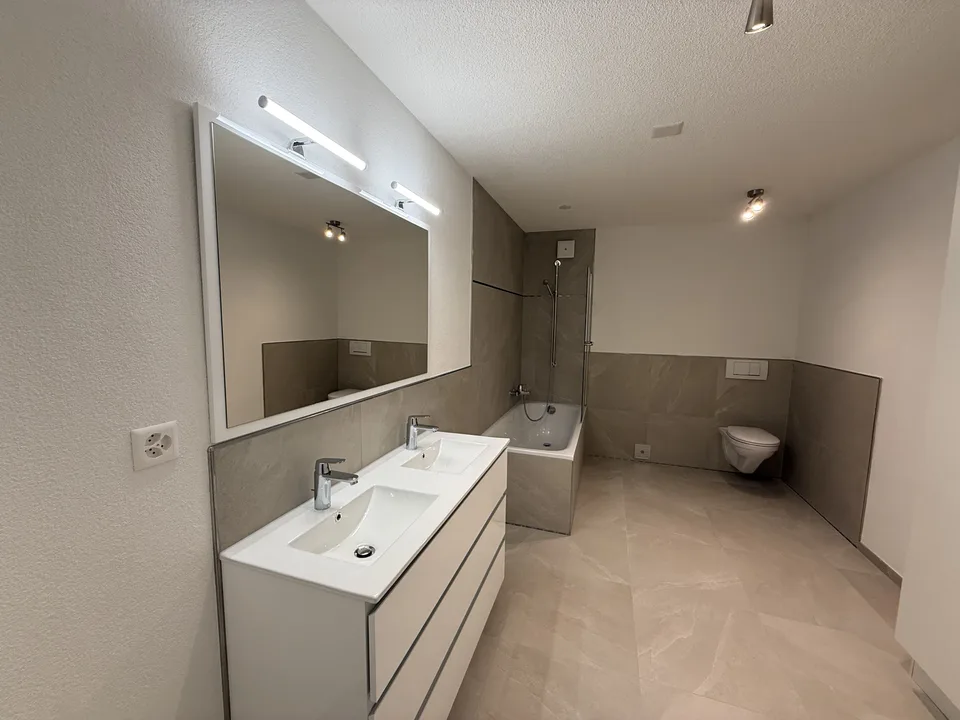 ppartement 3.5 pièces avec grande terrasse   70 m²