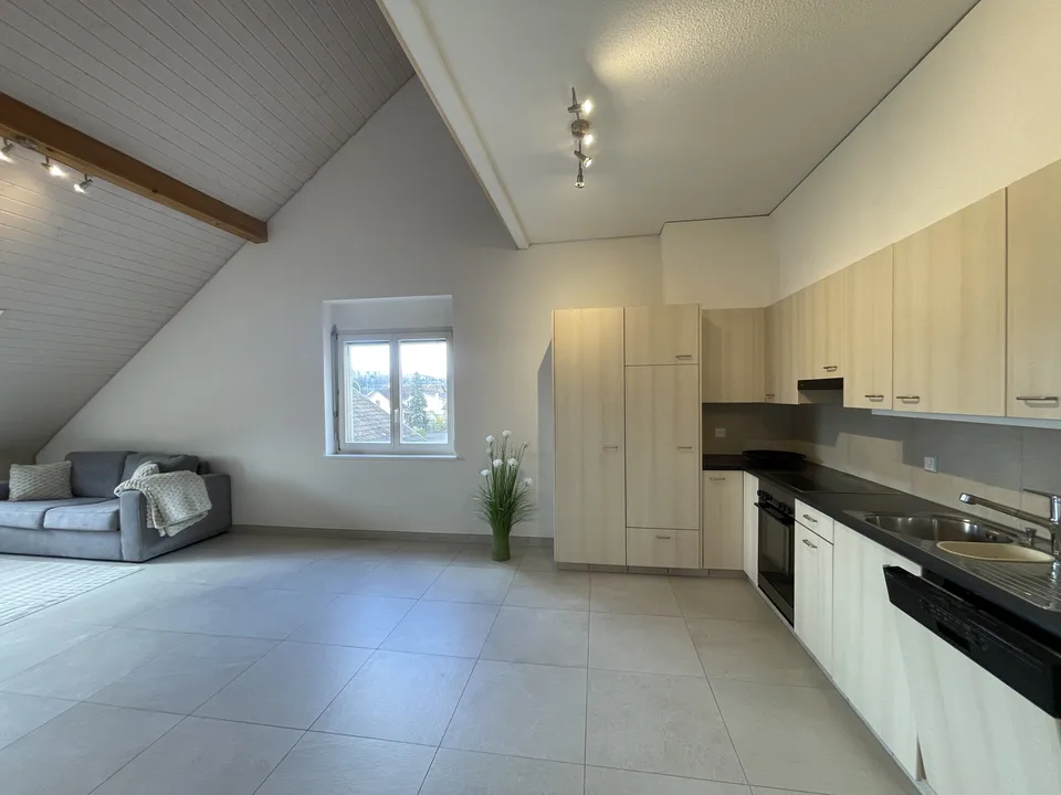 Magnifique duplex lumineux avec mezzanine   4.5 pièces de 100 m²