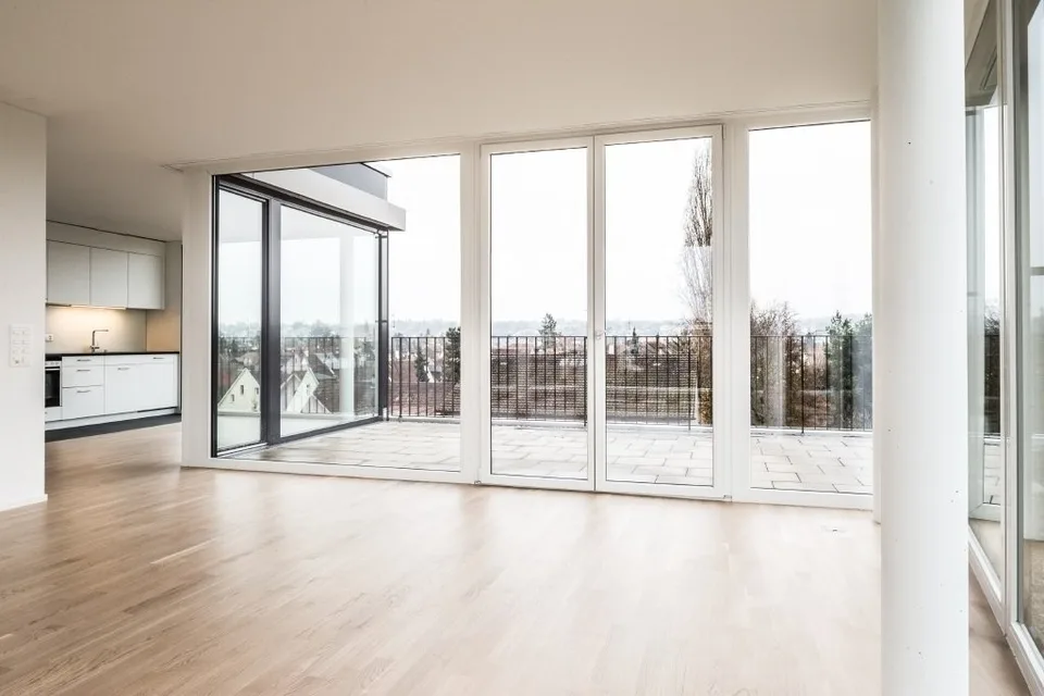 Large, bright penthouse apartment in Allschwil sought?