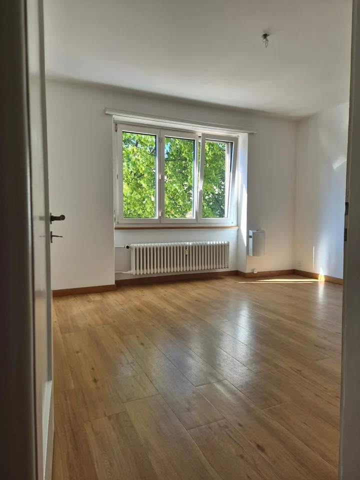 4.5-Zimmerwohnung im Ostring