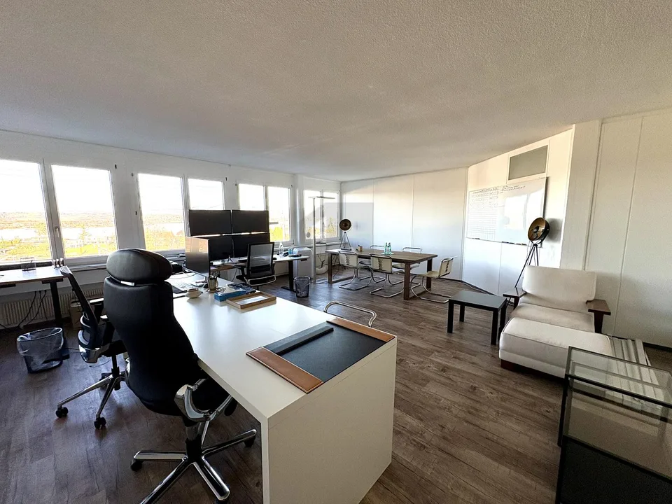 REPRESENTATIVE WITH LAKE VIEW