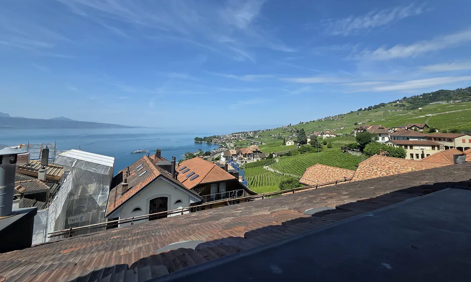 Magnifica dimora vinicola completamente ristrutturata, vista sul lago!