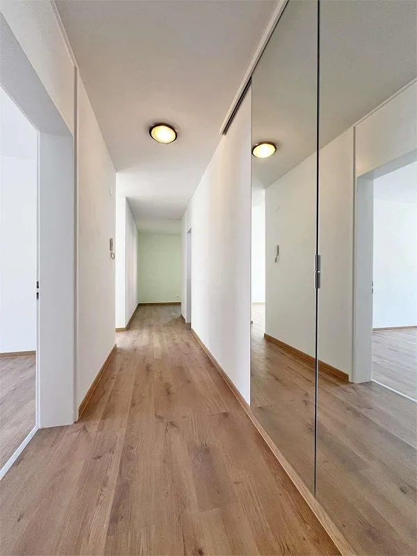 Wohnung 3.5 Zimmer renoviert in Castione