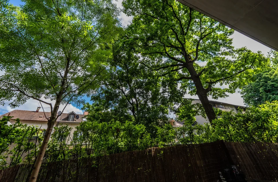 Aussergewöhnliche Loftwohnung mit Garten und Raumhöhe bis 3.69 m