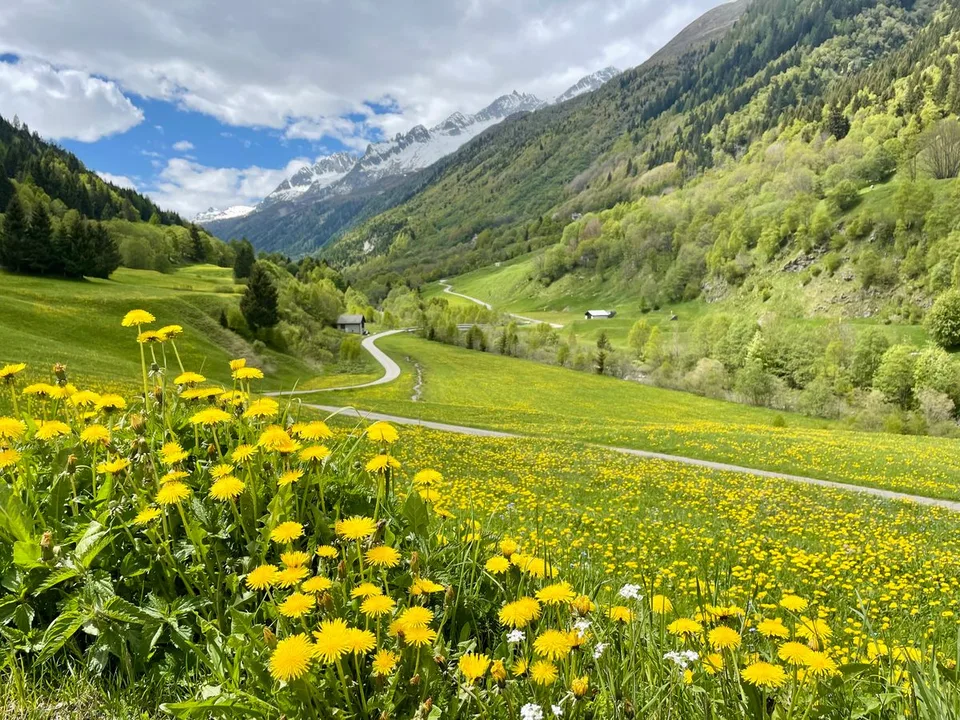 4.5 Zimmer Einfamilienhaus in Airolo – Foto 11 von 11