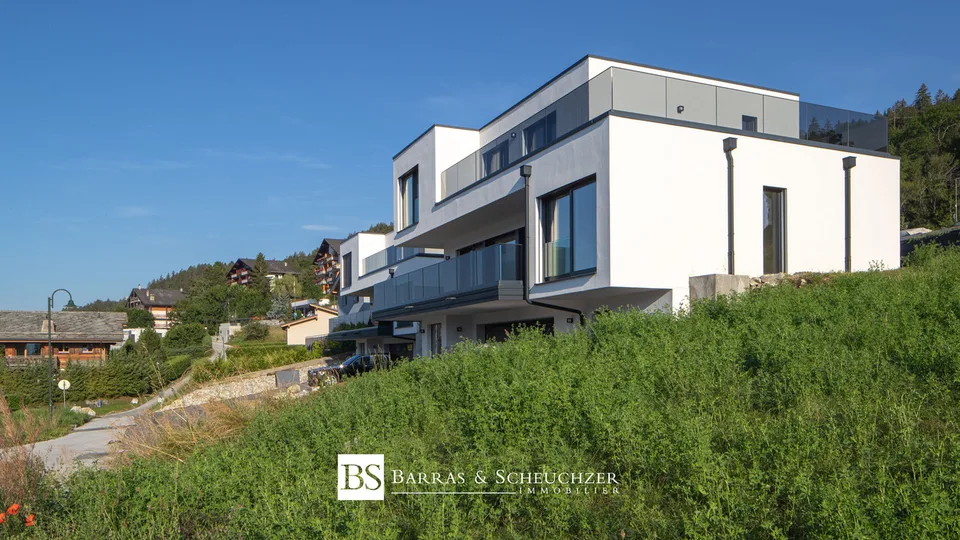 Stunning new contemporary house