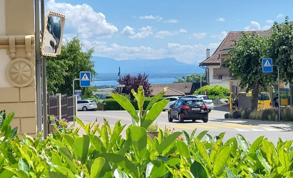 Magnifique petit appartement. Parfait état, centre village, aperçu lac