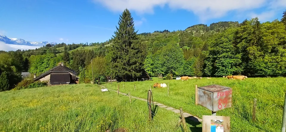 In Wohnungen umzuwandeln. Prächtige Ferienkolonie zu verkaufen