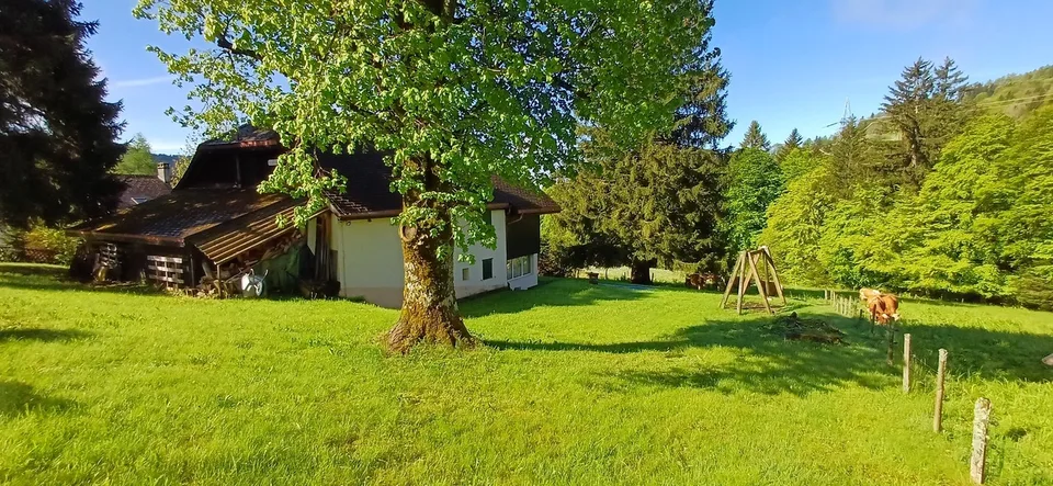 In Wohnungen umzuwandeln. Prächtige Ferienkolonie zu verkaufen