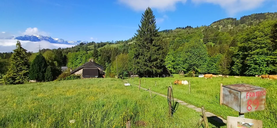 In Wohnungen umzuwandeln. Prächtige Ferienkolonie zu verkaufen