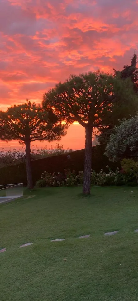 Magnifique propriété sur un terrain de 1734m2 à vendre à Lutry