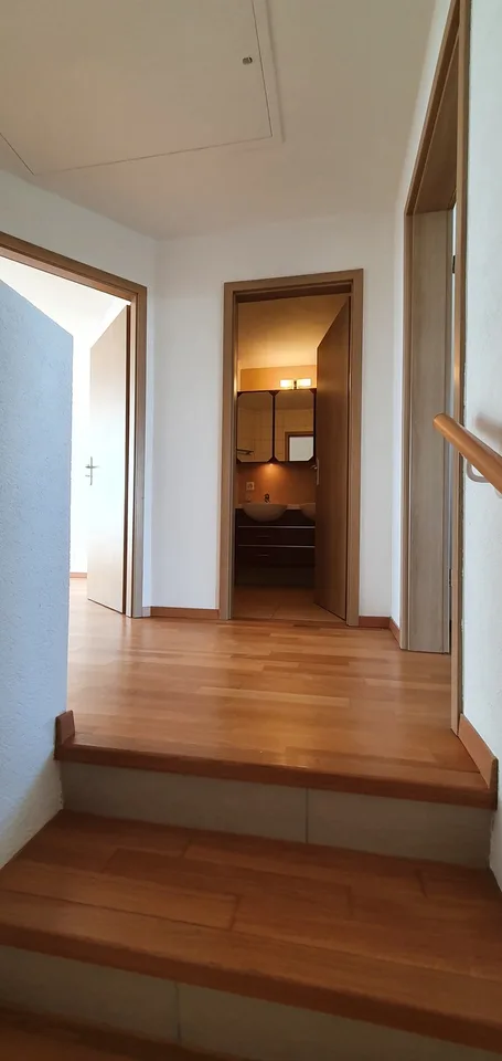 Lussy, nur wenige Minuten von Morges entfernt. Villa 5.5 Zimmer zu verkaufen