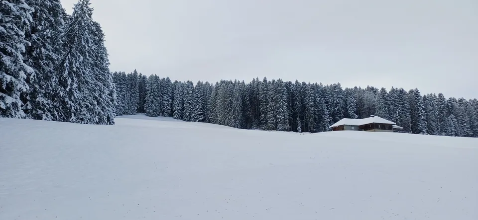 Lussy, a pochi minuti da Morges. Villa 5.5 pcs in vendita – foto 8 di 8