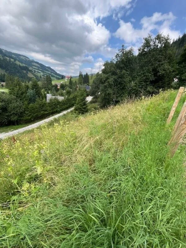 Zu verkaufen Baulandparzelle an erhöhter Lage in Plaffeien FR - Schwarzsee