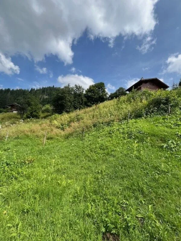 À vendre : parcelle de terrain à bâtir dans un emplacement élevé à Plaffeien FR - Schwarzsee – photo 8 sur 12