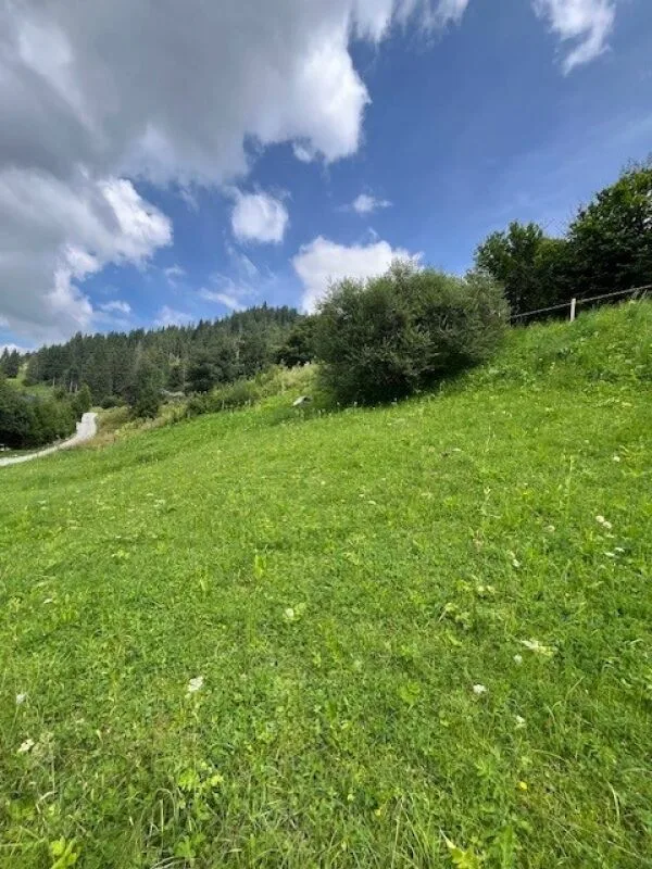 À vendre : parcelle de terrain à bâtir dans un emplacement élevé à Plaffeien FR - Schwarzsee – photo 7 sur 12