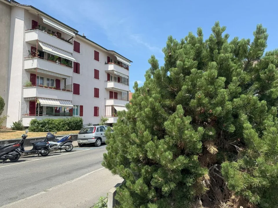 wohnen in Bern in einem sehr schönen, sonnigen und ruhigen  Quartier mit viel Grünanteilen