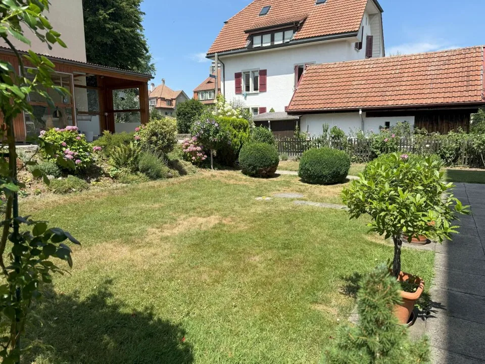 Vivere a Berna in un quartiere molto bello, soleggiato e tranquillo con molta vegetazione