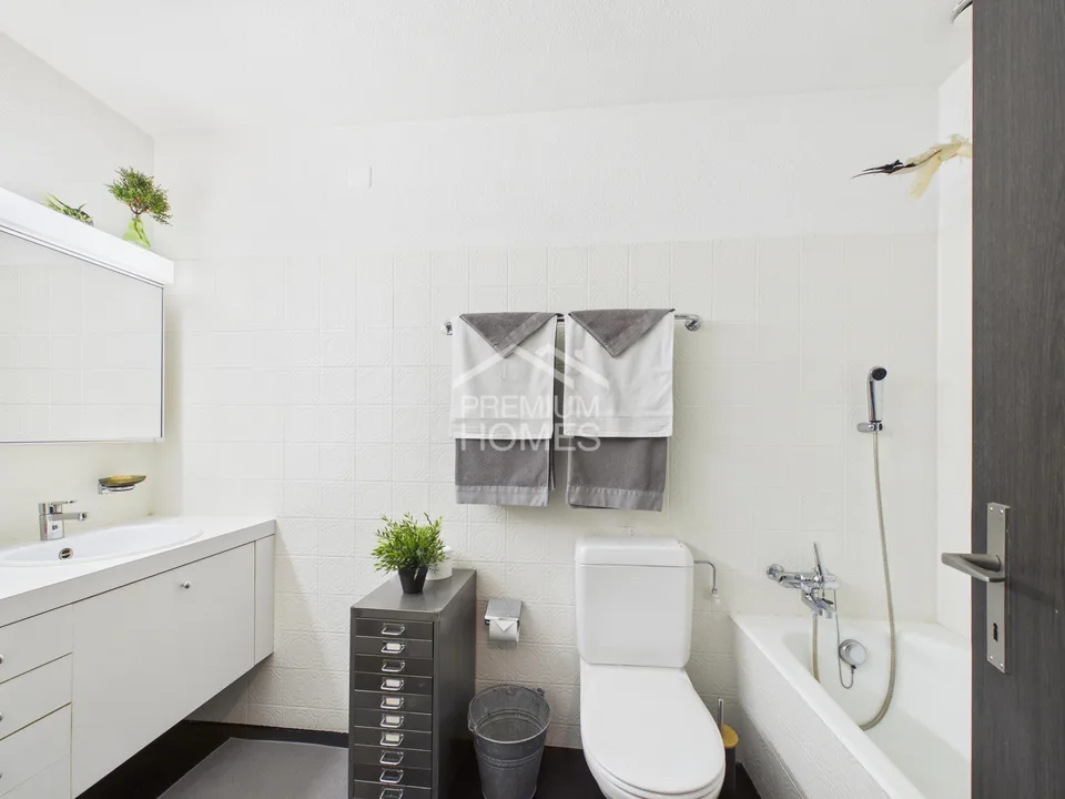 Multigenerational House with Sauna and Apartment – photo 21 of 22