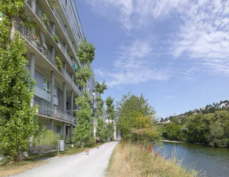 4.5 Zi. + 5.5 Zi. Flusswohnungen in Zürich, Unterengstringen und Vogelsang - Kein Seeanstoss aber direkt an der Limmat