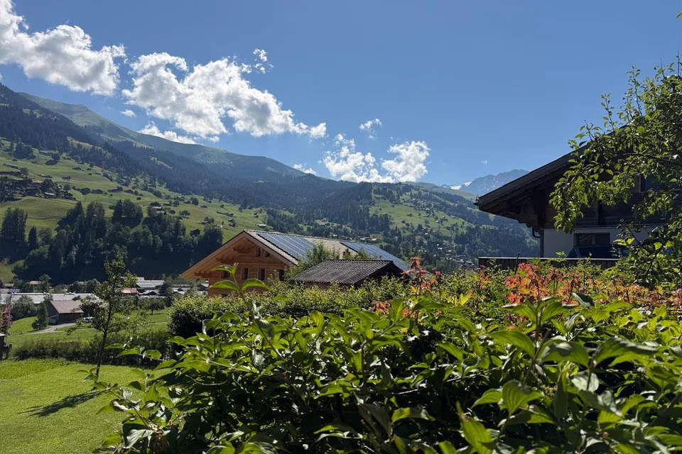 Lichtdurchflutete 3½ Zimmer Ferienwohnung mitten im schönen Ferienort Lenk! – Foto 16 von 17