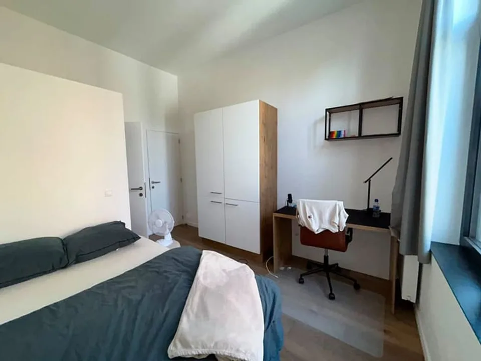 Monolocale di 25m² nelle immediate vicinanze dell'Università di Berna