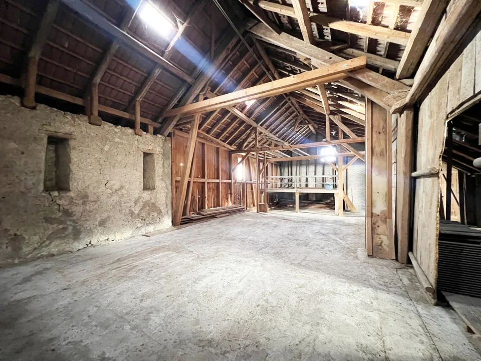 Ex fattoria con fienile, capanno, grande terreno e molto potenziale