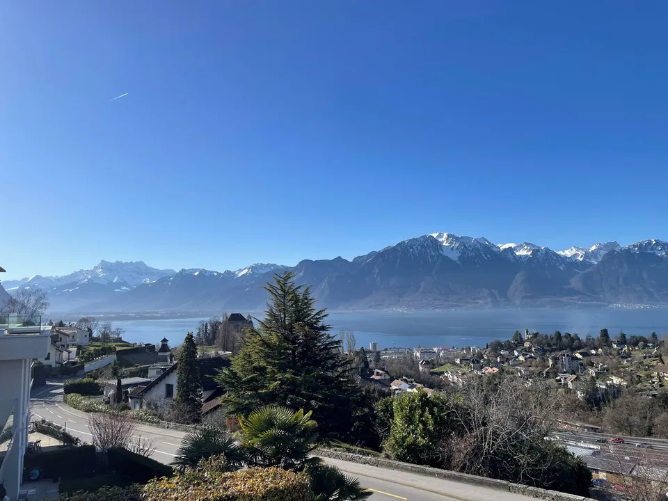 GERÄUMIGE 5,5-ZIMMER-WOHNUNG MIT ATEMBERAUBENDEM PANORAMABLICK