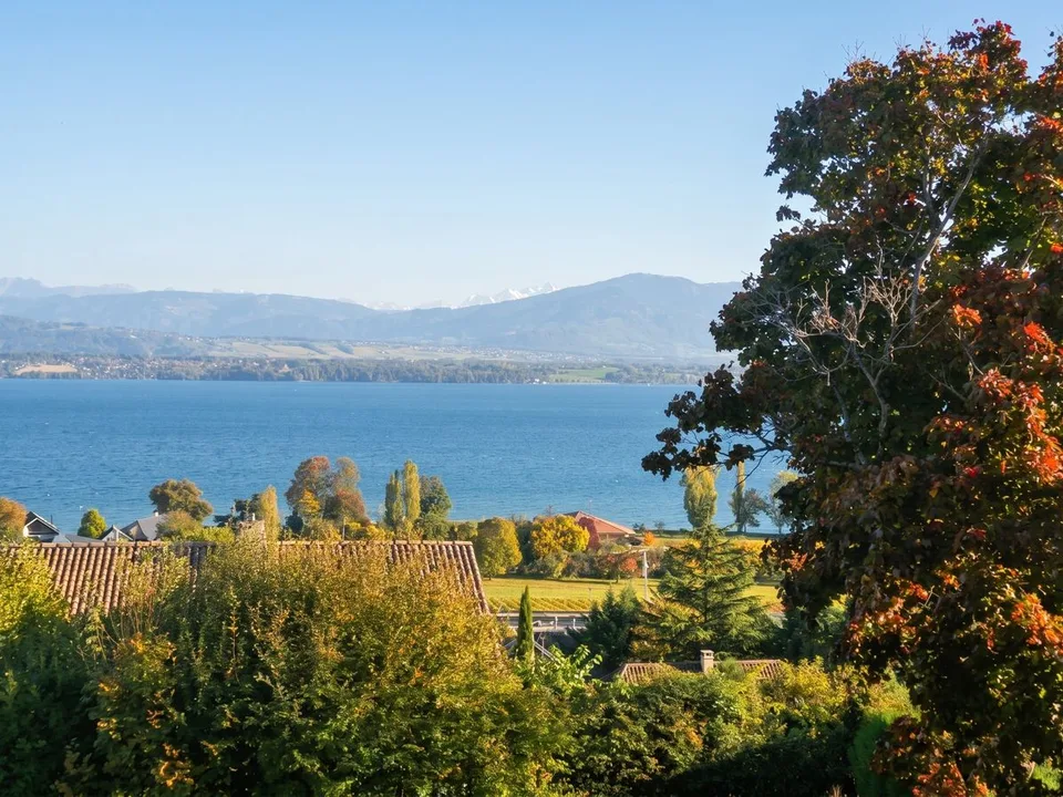 NYON ( à 5 minutes de Nyon) Propriété d'exception avec vue panoramique